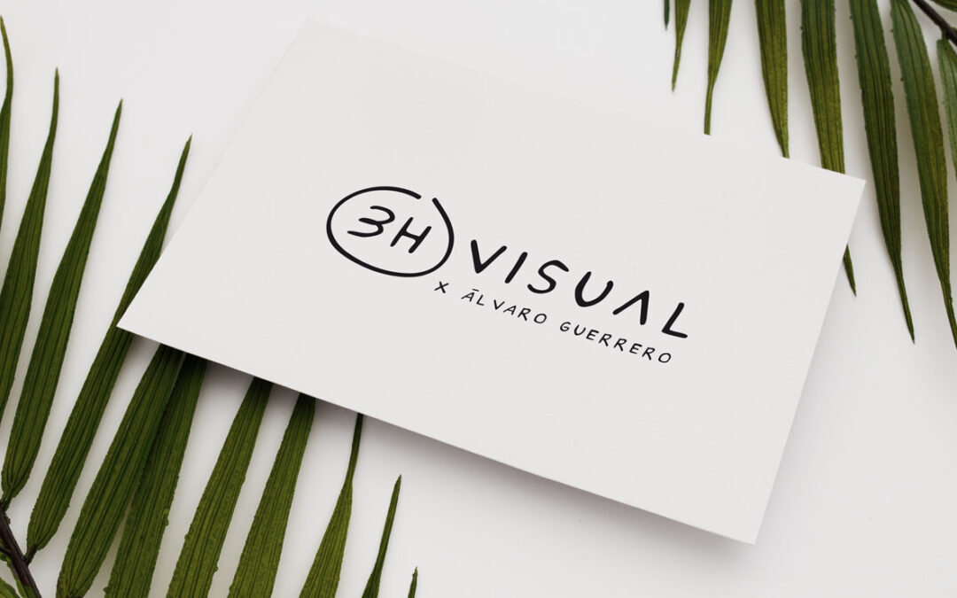 3Hvisual